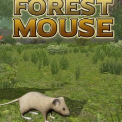 Forest Mouse
